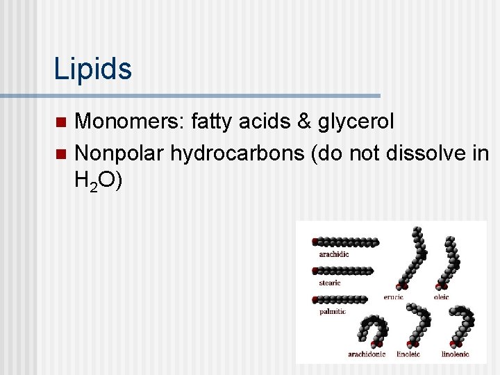 Lipids Monomers: fatty acids & glycerol n Nonpolar hydrocarbons (do not dissolve in H