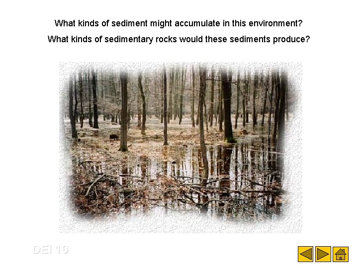 What kinds of sediment might accumulate in this environment? What kinds of sedimentary rocks