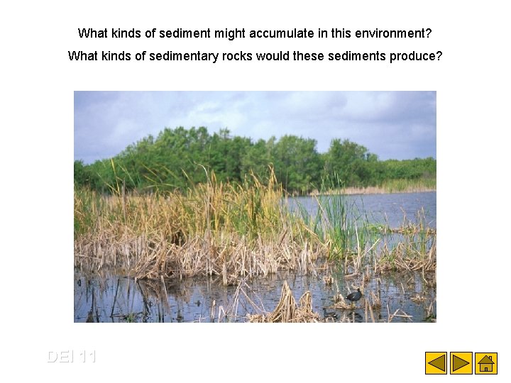 What kinds of sediment might accumulate in this environment? What kinds of sedimentary rocks