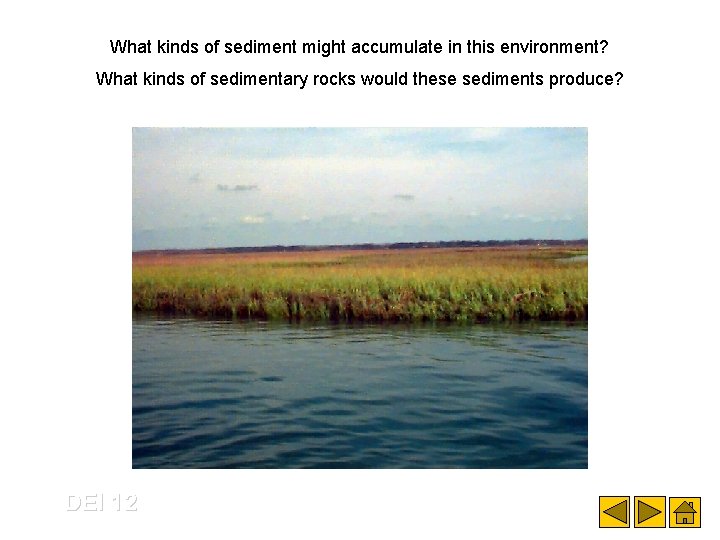 What kinds of sediment might accumulate in this environment? What kinds of sedimentary rocks