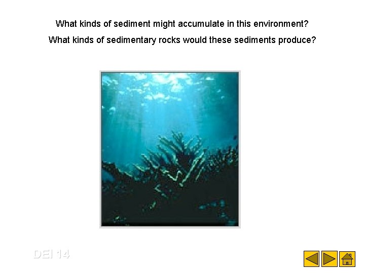 What kinds of sediment might accumulate in this environment? What kinds of sedimentary rocks