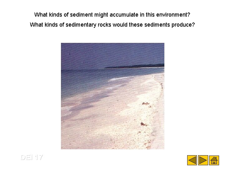 What kinds of sediment might accumulate in this environment? What kinds of sedimentary rocks