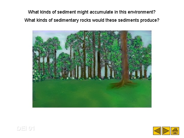What kinds of sediment might accumulate in this environment? What kinds of sedimentary rocks