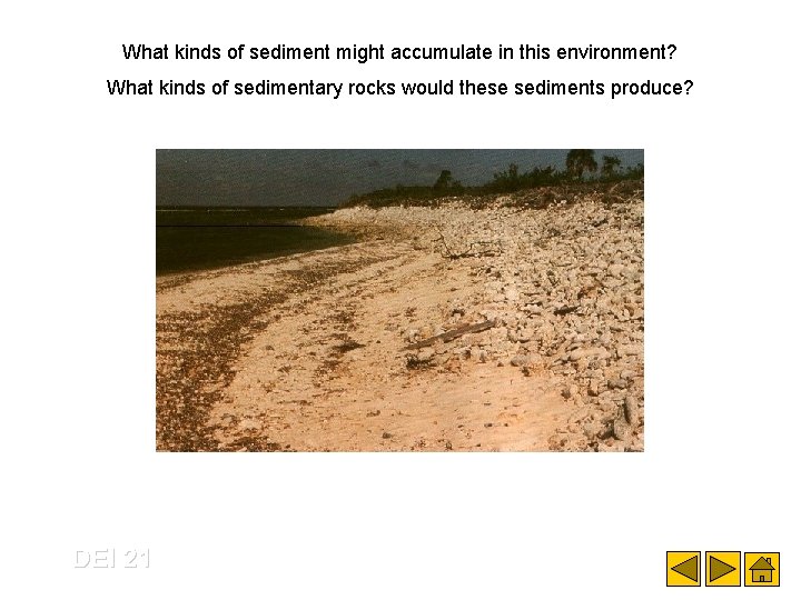 What kinds of sediment might accumulate in this environment? What kinds of sedimentary rocks
