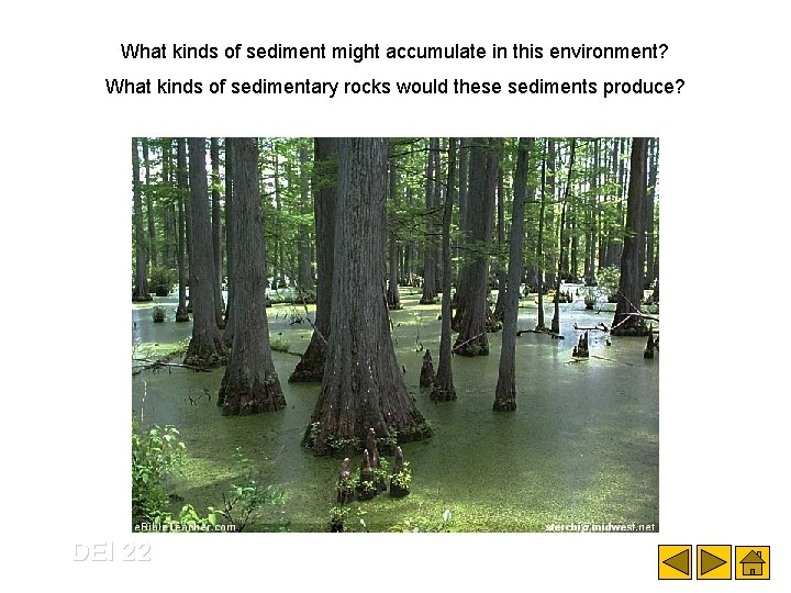 What kinds of sediment might accumulate in this environment? What kinds of sedimentary rocks