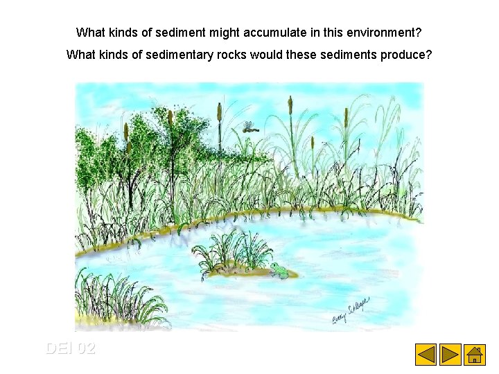 What kinds of sediment might accumulate in this environment? What kinds of sedimentary rocks