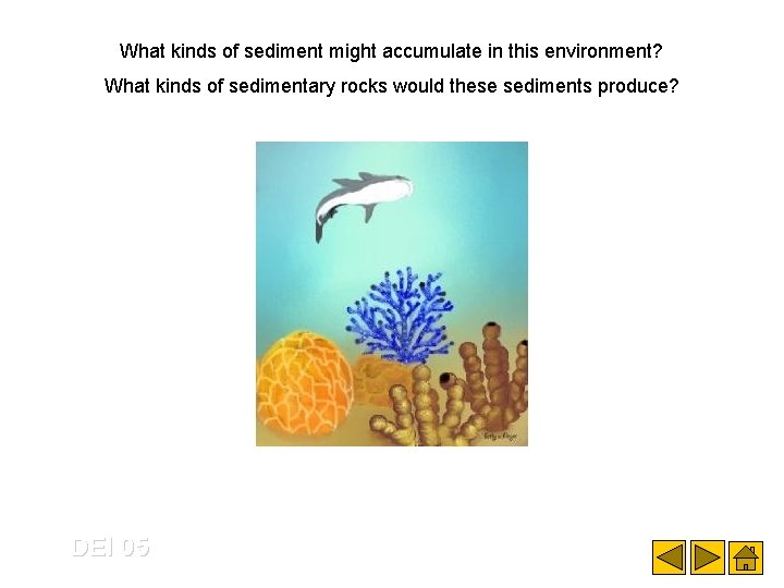What kinds of sediment might accumulate in this environment? What kinds of sedimentary rocks