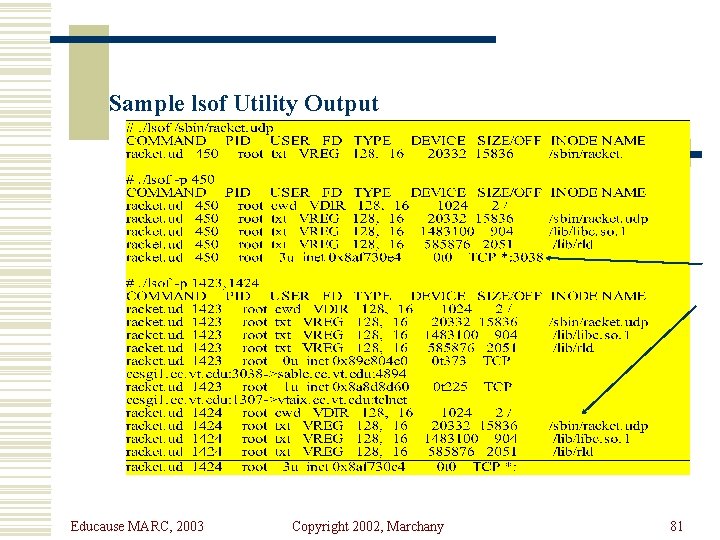 Sample lsof Utility Output Educause MARC, 2003 Copyright 2002, Marchany 81 