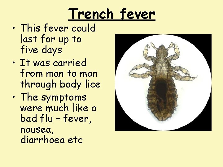 Trench fever • This fever could last for up to five days • It