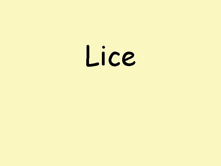 Lice 