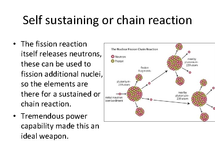 Self sustaining or chain reaction • The fission reaction itself releases neutrons, these can