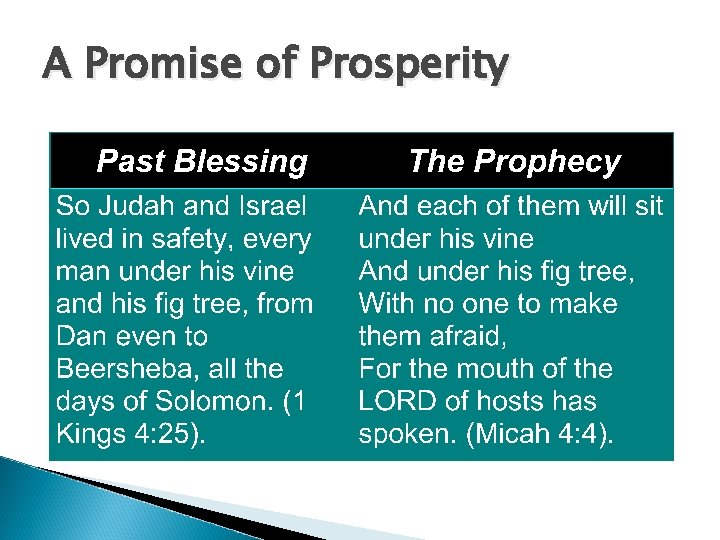 A Promise of Prosperity 