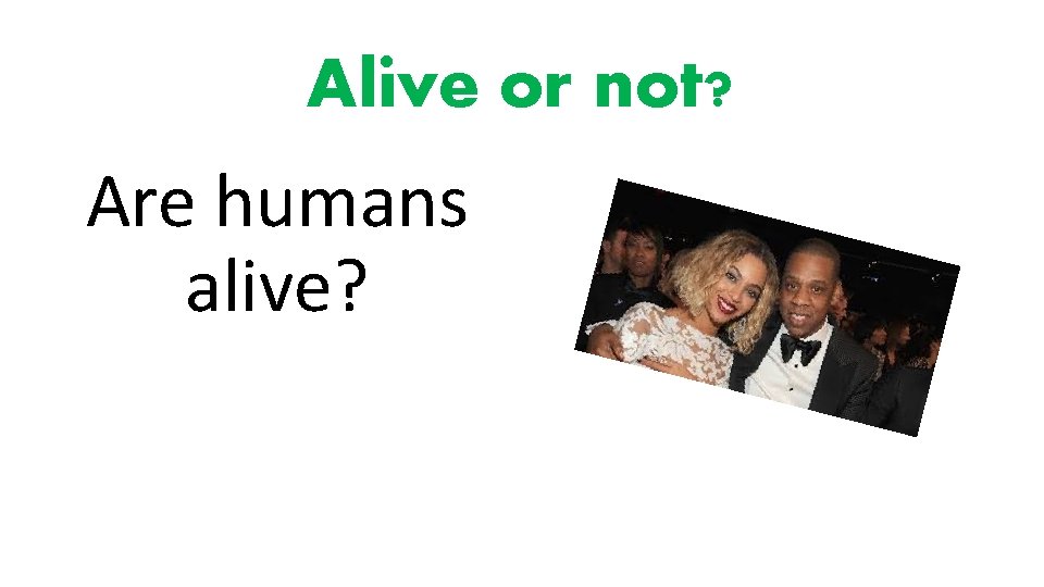Alive or not? Are humans alive? 