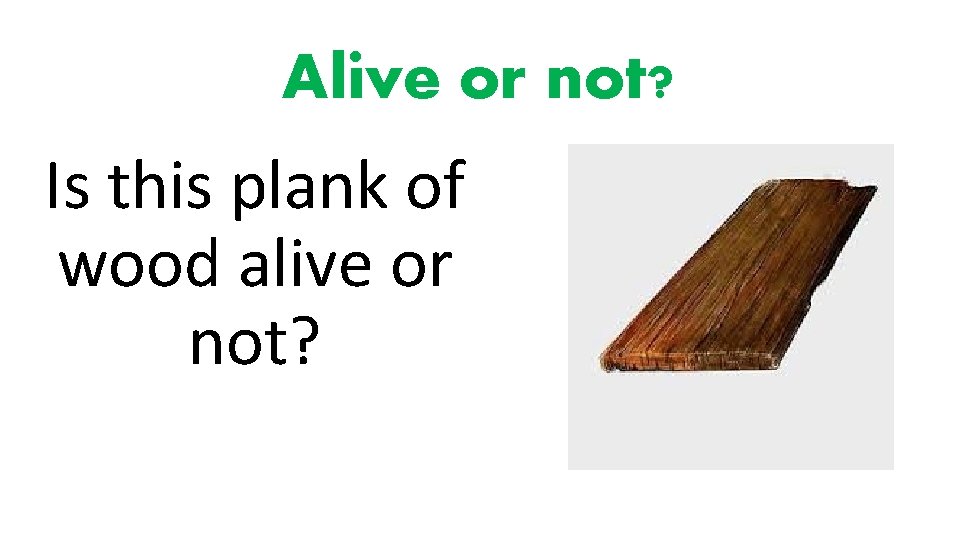 Alive or not? Is this plank of wood alive or not? 