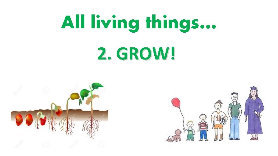 All living things… 2. GROW! 