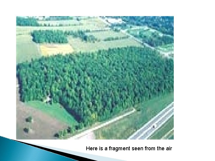 Here is a fragment seen from the air 