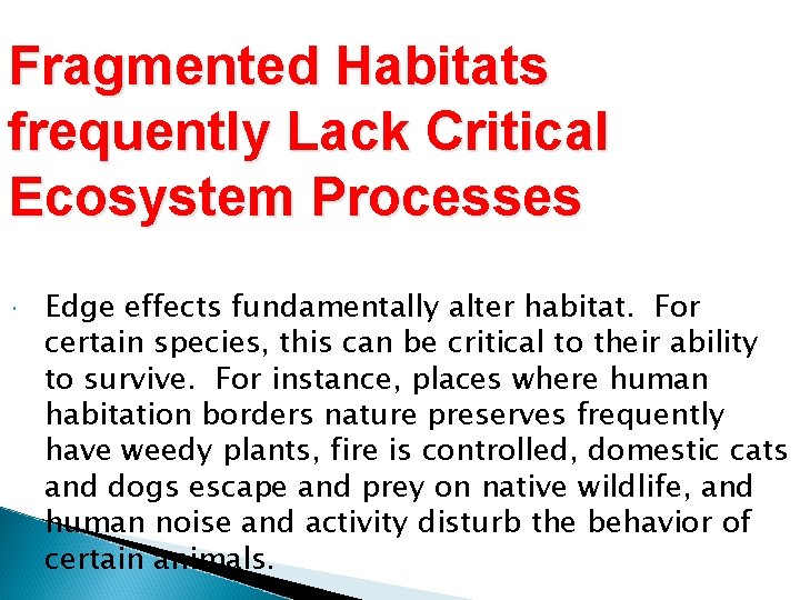 Fragmented Habitats frequently Lack Critical Ecosystem Processes Edge effects fundamentally alter habitat. For certain