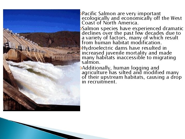  Pacific Salmon are very important ecologically and economically off the West Coast of