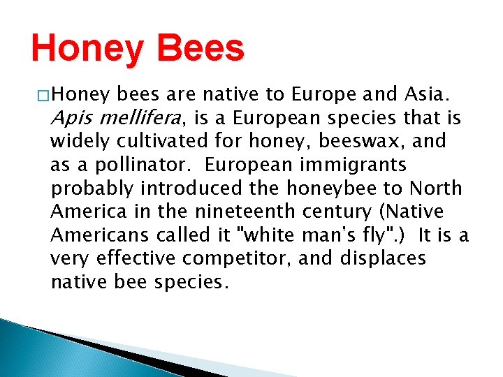 Honey Bees �Honey bees are native to Europe and Asia. Apis mellifera, is a