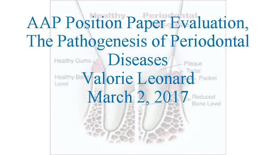 AAP Position Paper Evaluation The Pathogenesis of Periodontal
