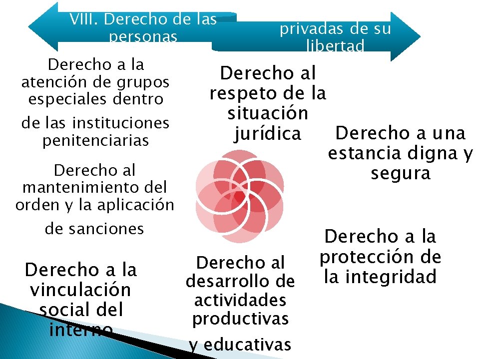 VIII. Derecho de las personas Derecho a la atención de grupos especiales dentro de