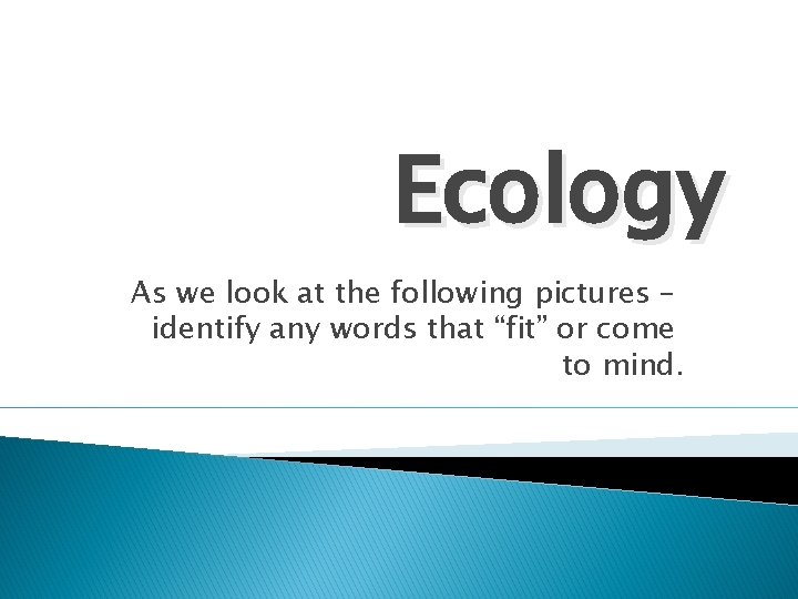 Ecology As we look at the following pictures – identify any words that “fit”