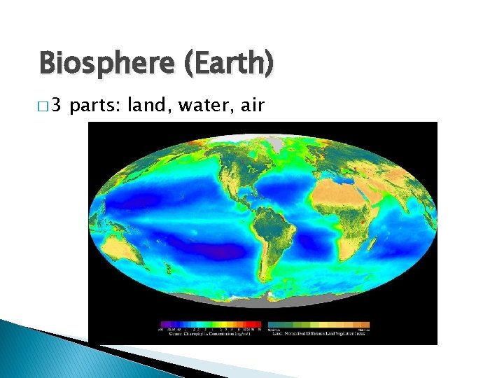 Biosphere (Earth) � 3 parts: land, water, air 