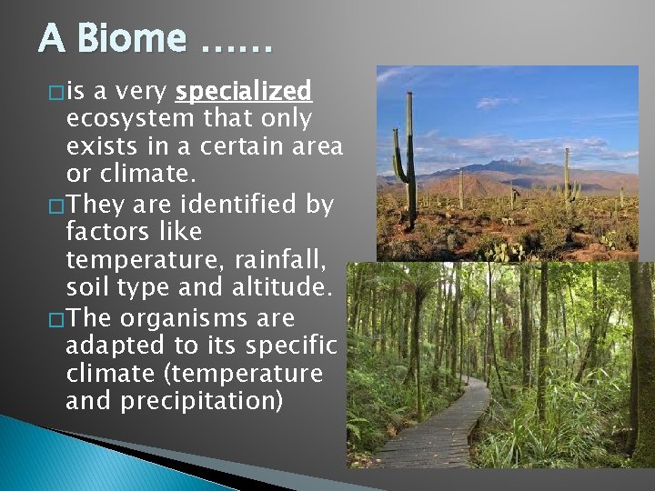 A Biome …… � is a very specialized ecosystem that only exists in a