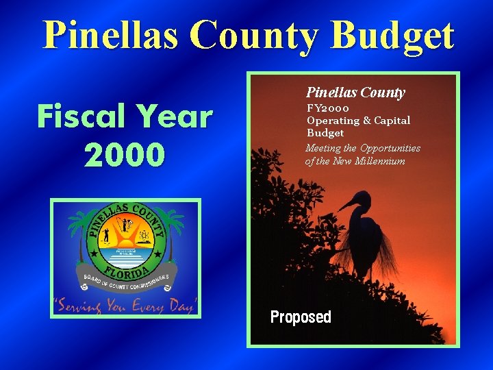 Pinellas County Budget Pinellas County Fiscal Year 2000 FY 2000 Operating & Capital Budget