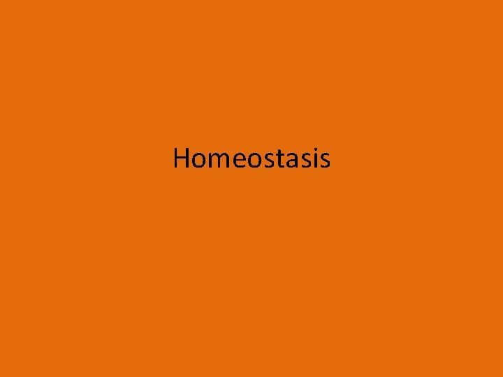 Homeostasis 