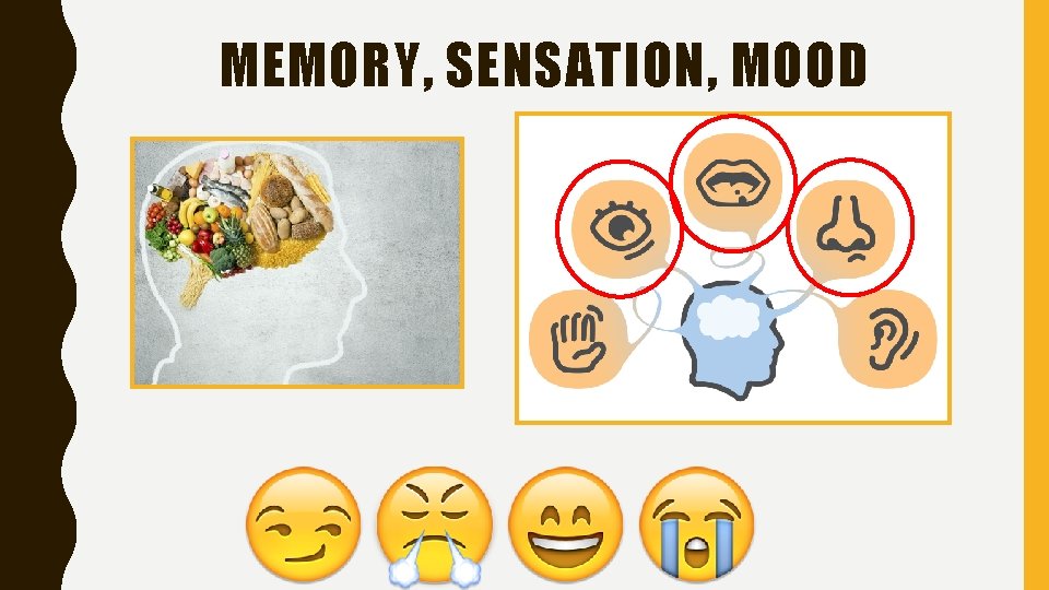 MEMORY, SENSATION, MOOD 