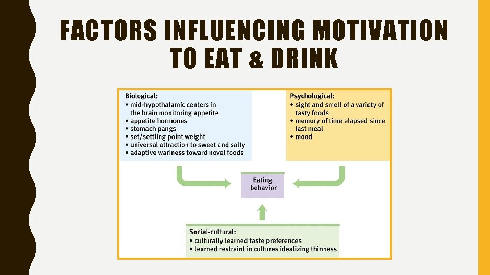 FACTORS INFLUENCING MOTIVATION TO EAT & DRINK 