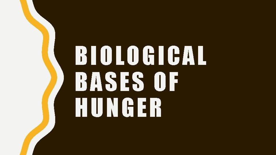 BIOLOGICAL BASES OF HUNGER 