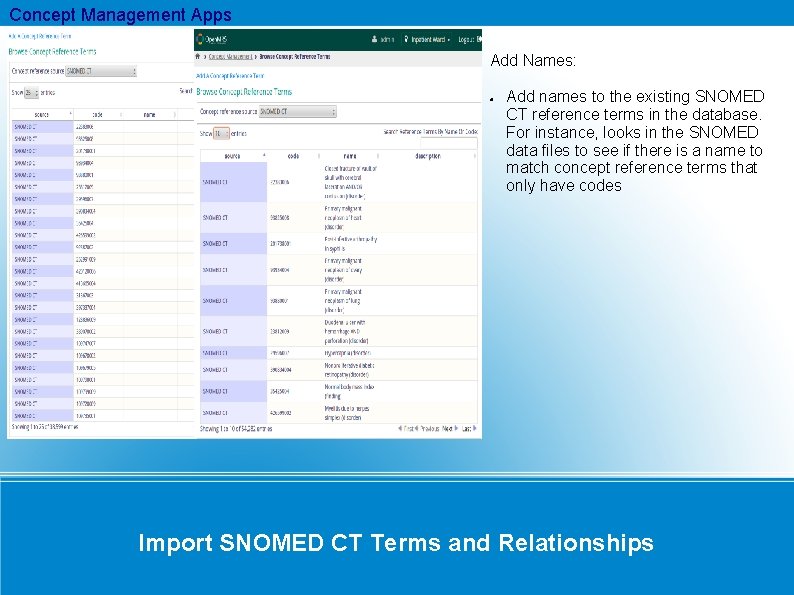 Concept Management Apps Add Names: Add names to the existing SNOMED CT reference terms