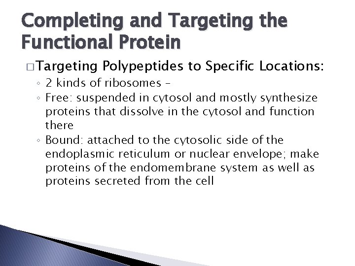 Completing and Targeting the Functional Protein � Targeting Polypeptides to Specific Locations: ◦ 2