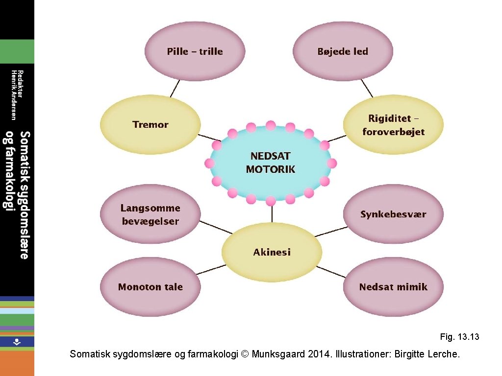 Fig. 13 Somatisk sygdomslære og farmakologi © Munksgaard 2014. Illustrationer: Birgitte Lerche. 