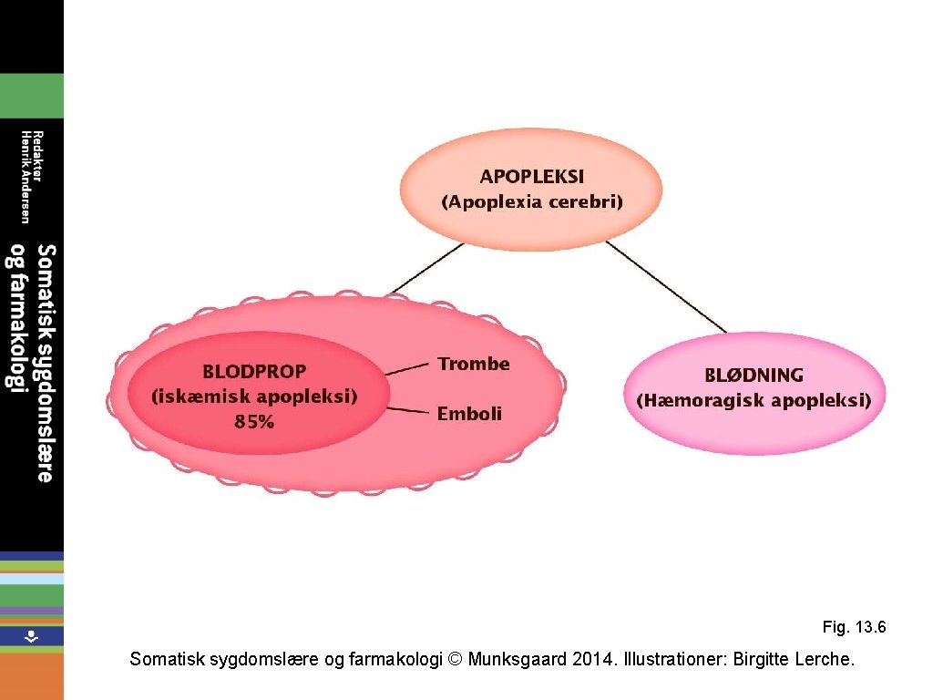 Fig. 13. 6 Somatisk sygdomslære og farmakologi © Munksgaard 2014. Illustrationer: Birgitte Lerche. 