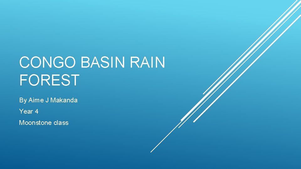 CONGO BASIN RAIN FOREST By Aime J Makanda Year 4 Moonstone class 