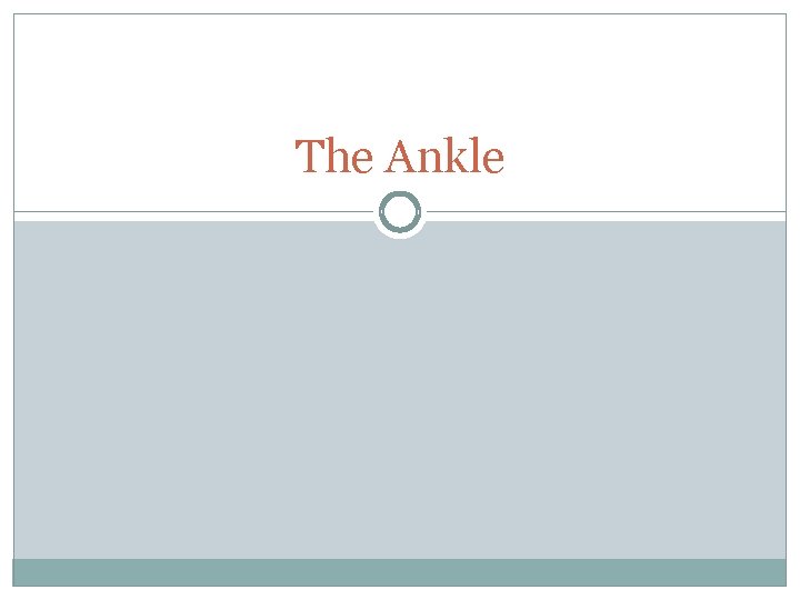 The Ankle 