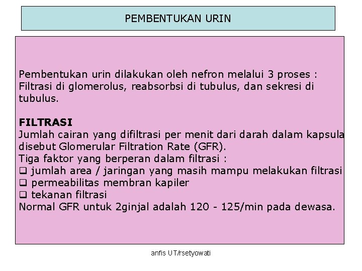 PEMBENTUKAN URIN Pembentukan urin dilakukan oleh nefron melalui 3 proses : Filtrasi di glomerolus,