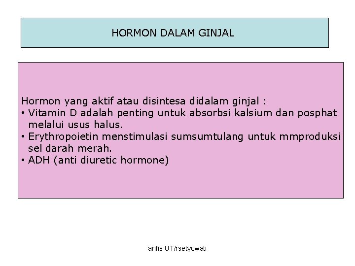 HORMON DALAM GINJAL Hormon yang aktif atau disintesa didalam ginjal : • Vitamin D