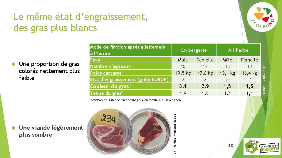 Le même état d’engraissement, des gras plus blancs Une proportion de gras colorés nettement