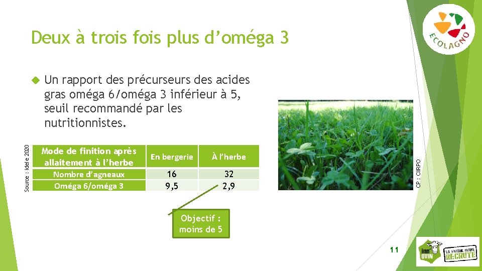 Deux à trois fois plus d’oméga 3 Un rapport des précurseurs des acides gras