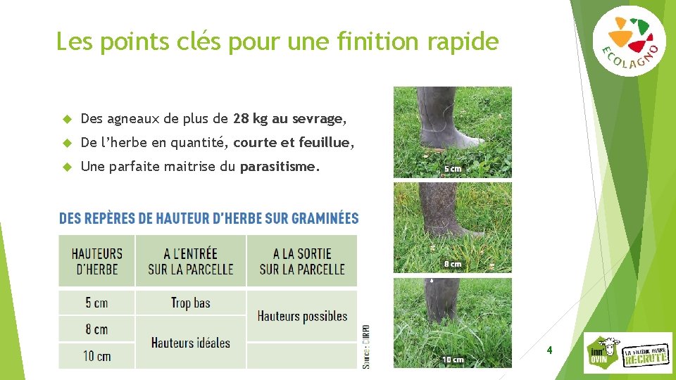 Les points clés pour une finition rapide Des agneaux de plus de 28 kg