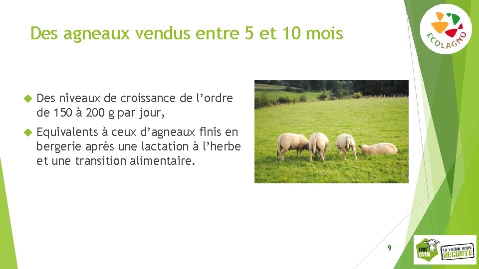 Des agneaux vendus entre 5 et 10 mois Des niveaux de croissance de l’ordre