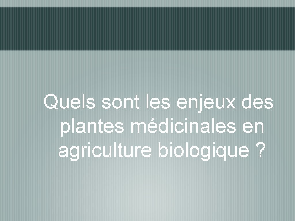 Quels sont les enjeux des plantes médicinales en agriculture biologique ? 