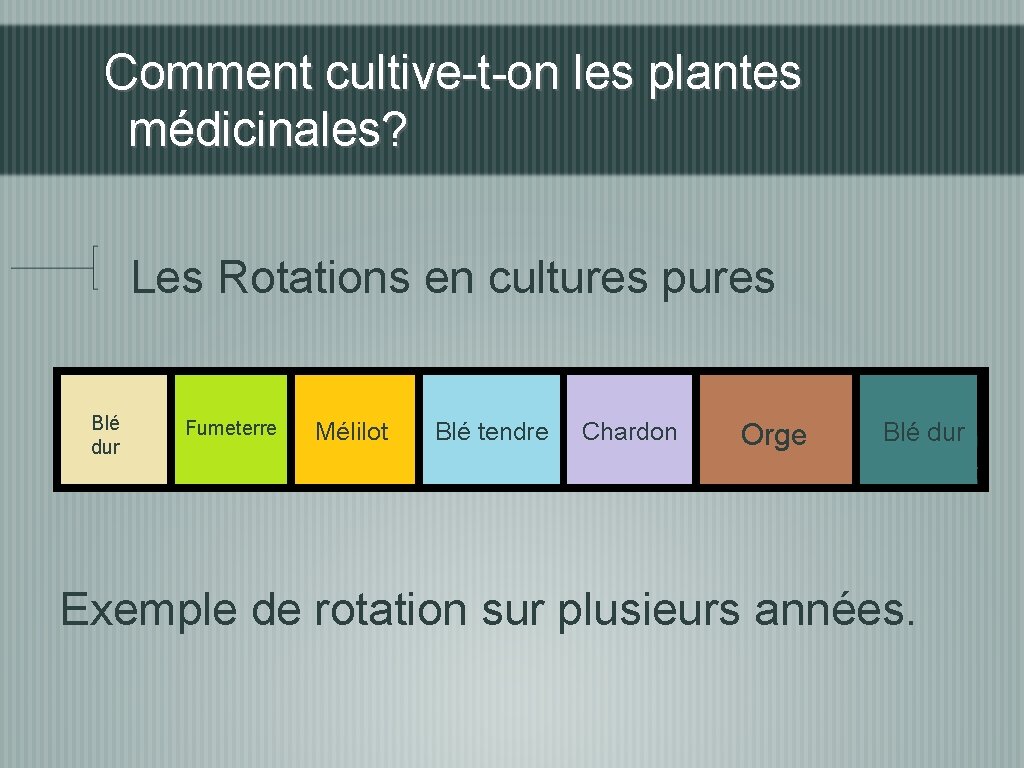 Comment cultive-t-on les plantes médicinales? Les Rotations en cultures pures Blé dur Fumeterre Mélilot