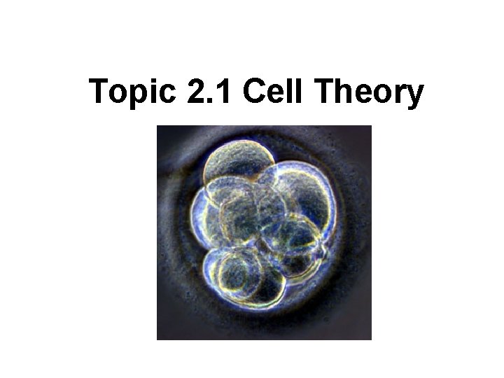 Topic 2. 1 Cell Theory 