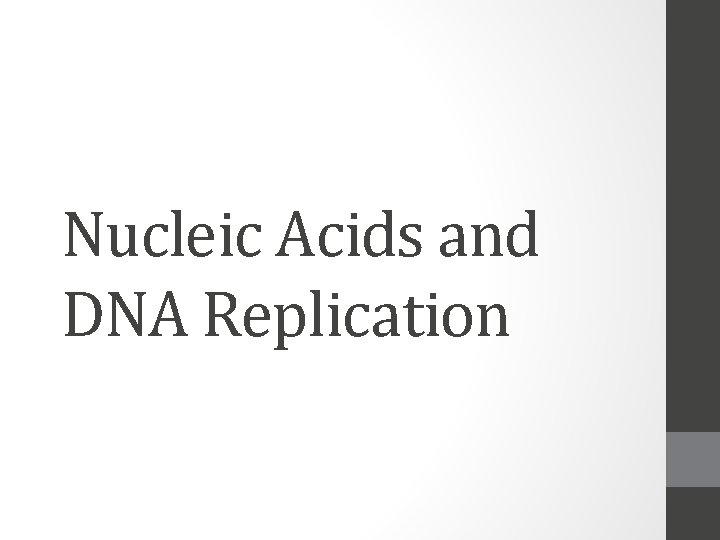 Nucleic Acids and DNA Replication 