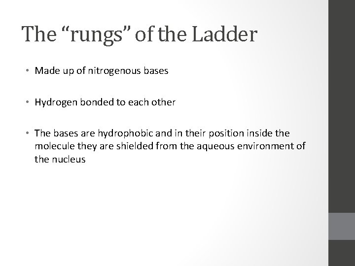 The “rungs” of the Ladder • Made up of nitrogenous bases • Hydrogen bonded